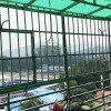 世纪绿洲阳台栏杆加装防盗网 FDW-010