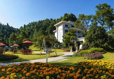 碧桂园凤凰城别墅区实例